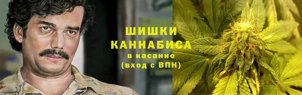 гашик Бородино