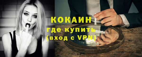 гашик Бородино