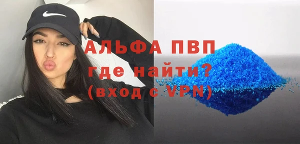 гашик Бородино
