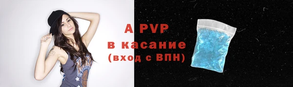 гашик Бородино
