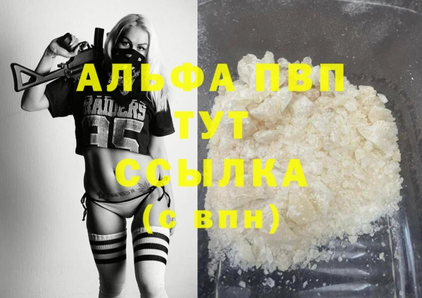 гашик Бородино