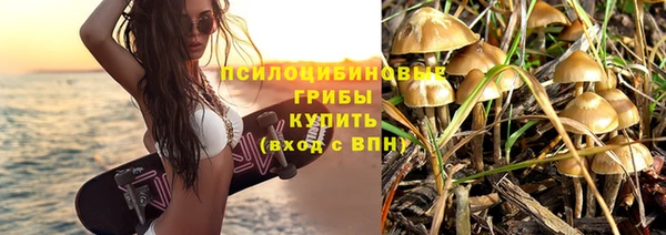 соль ск Верхний Тагил