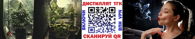 купить Шарья это Telegram Дистиллят ТГК гашишное масло